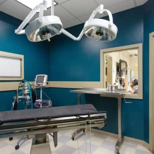 Kitsap Veterinary Hospital Surgical Suite.